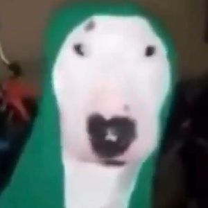 Meet your Posher, Isaiah